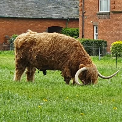 andyock's profile picture. Micro Brewery owner and passionate fan of Rugby League team Hull FC. All views are my own although there must be someone out there who agrees.