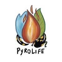 PyroLife_ITN (@pyrolife_itn) 's Twitter Profile Photo PyroLife_ITN (@pyrolife_itn) 's Twitter Profile Photo
