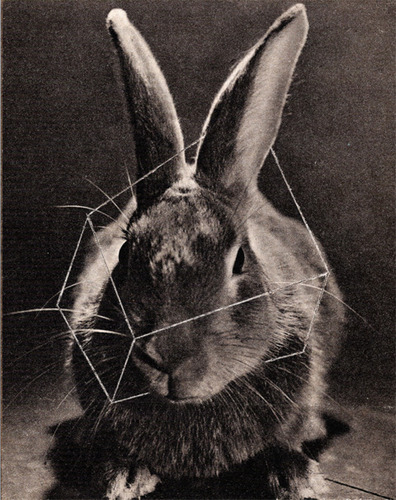 R3P3T3's profile picture. A-
new, random discovery