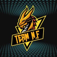 NIGHT FURIES (@furies_night) 's Twitter Profile