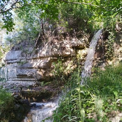 Bu fâni âlem için beklentiye giren kalbime de kırgınım biraz...