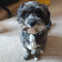 Caroline (@mithnoviel) 's Twitter Profile Photo