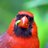 Lyudee7's profile image