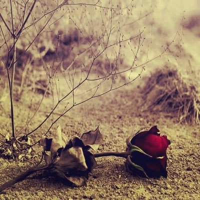 MoOy_1's profile picture. 