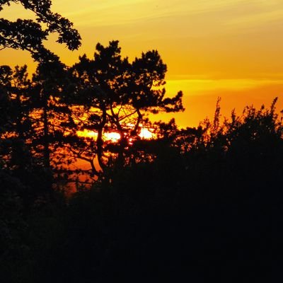 danny91973's profile picture. Southampton fc supporter. Happily married for 24 years with three children. Avid saints fan and Glos City FC. Likes country walking,and anything sports related.