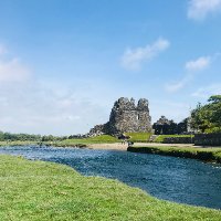 ELaidlaw (@elaidlaw2) 's Twitter Profile