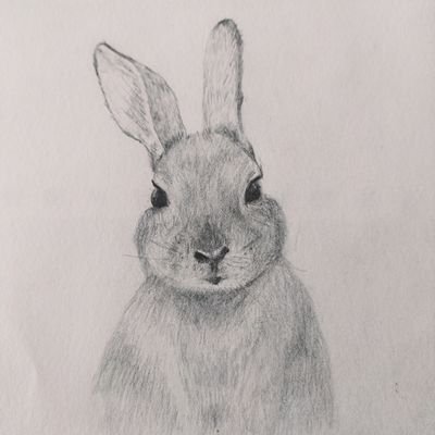 Sara55388594's profile picture. 