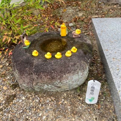 2023年春から旦那のドイツ赴任(だいぶ南)に帯同。期限付きのため日本の仕事は休職中。ドイツ語も英語も話せませんやばい。2児の母。情報収集中。無言フォロー失礼します🙇♀️