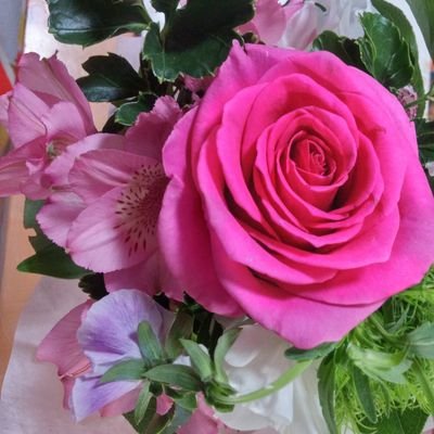 Z7uLACdaGuxQ1OE's profile picture. YouTubeのチャンネル登録をした方の情報収集用／今年２回の手術をして療養中→退院できました／６月から仕事をします／ゲームって面白いですね／アイドルも好き