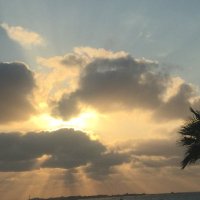 Ghadha Fouad (@fouadghadha) Twitter profile photo