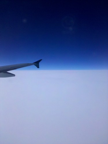 ActivistHoKang's profile picture. 