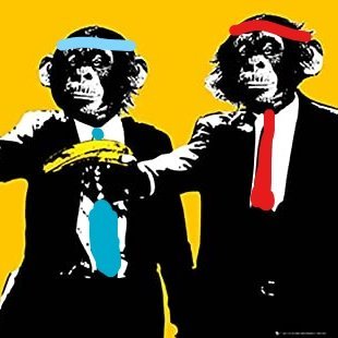 Agent_Xerus's profile picture. Ok