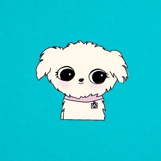 Pastor Snuggles is a ten pound Havanese with much wisdom. A famous quote from this little powerhouse is,