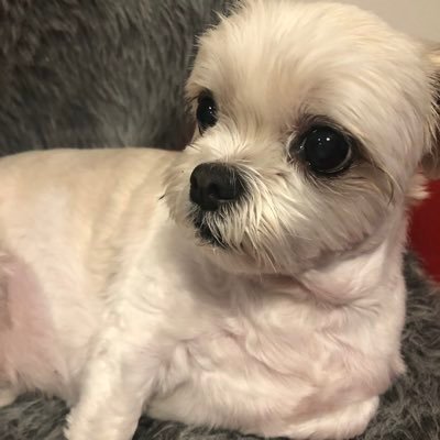 TyGULSYePWB05VQ's profile picture. 