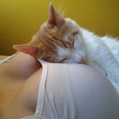 30CiPRhcXPtQe9a's profile picture. พอดีขี้เงี่ยน