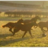 Eildon_Hill's profile image