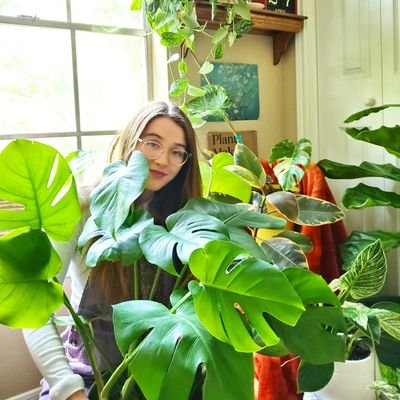 apartment botanist • avid tree hugger 🌿🌺🍃🌷🌱🌵🌻🥕🌾🏵☘🌱🦋🌹⚘💐🐞🕷 Instagram: @yourauntiesplanties