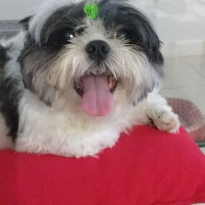 Triste com a condição humana. É possível superar a dualidade do bem e do mal no nosso espiríto, diante da inexorável imperfeição do ser.