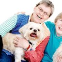 Elaine Downs - @animaltweets - Twitter