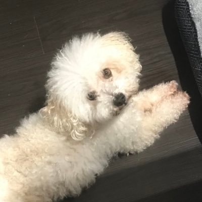 sillygirlmel's profile picture. 