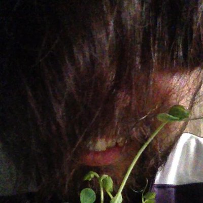 40代引きこもりNeat（10年以上）Neatになり社会に戻るきっかけを失った。10年後、万年床の上で泣き叫ぶ😿現在は自宅警備員（大便製造機）😹2020年1月から大好きなGameを断つ（決断）👏毎日12～15時間睡眠の堕落生活を変える（本気）💪※追記：本気になれば変われると信じてましたが…私には無理でした😹
