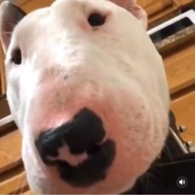 otha53678795's profile picture. Account seller https://t.co/GA1tGgcBmV