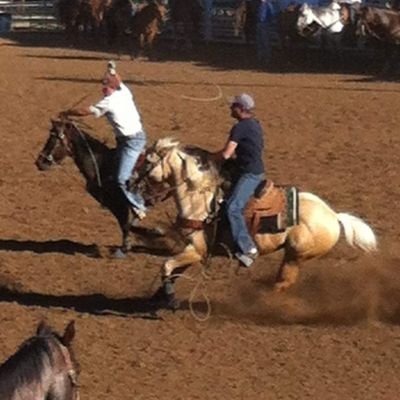 rowdygator's profile picture. 