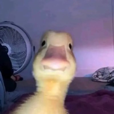 truthquotes00's profile picture. I A M N O T O K A Y ✨