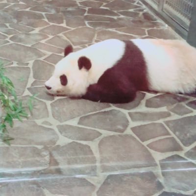 10月に英検準2級、テストでいい点をとりたいキャロットちゃん🥕さんのプロフィール画像