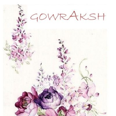 Gowraksh Studios Fashion Designer