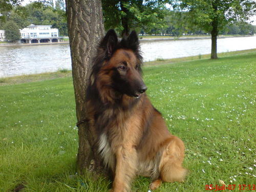 plumave's profile picture. 