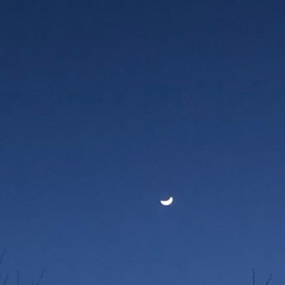 💙케이캘리さんのプロフィール画像