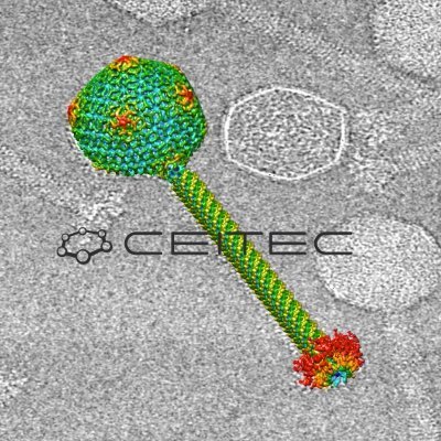 Cryo-Electron Microscopy and Tomography Core Facility @CEITEC_Brno @MasarykUni