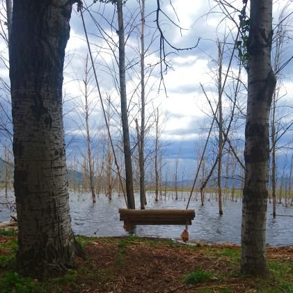 AyanHouse's profile picture. A smart home with a mind of it's own, tweeting the extraordinary activities happening within it's walls.