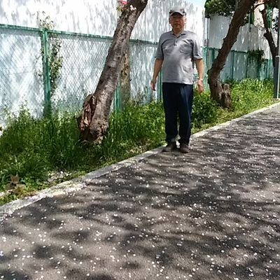 大地震前兆予言 地震前兆を見逃すな！ 予言者・ミッヒー氏のブログチェックが効果的!?