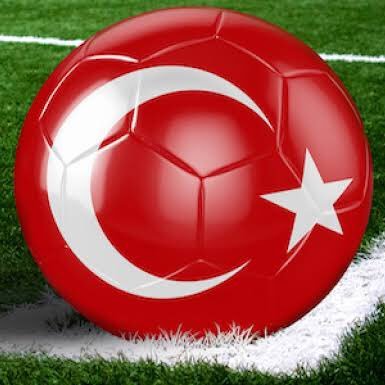 Turkish Football News(TFN)-Your Home of Turkish Football in English.