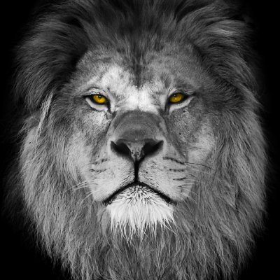 nik0232's profile picture. 