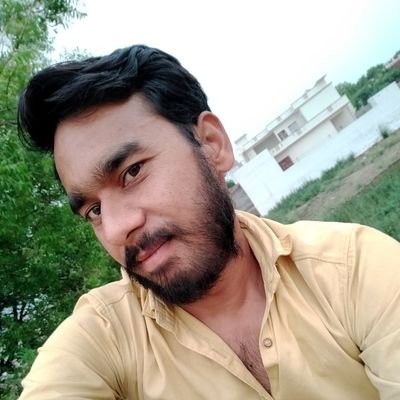 Universalstudy4's profile picture. 