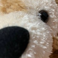 りん＊取引用 (@loooove0101) 's Twitter Profile Photo