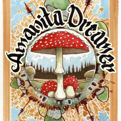 Information on the Amanita Muscaria mushroom for a new generation! Due to censorship, find me over at https://t.co/BBVs2JzlCG