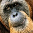 john berkey - @kb7nvr - Twitter