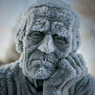 AIiMohammed5 Profile Picture