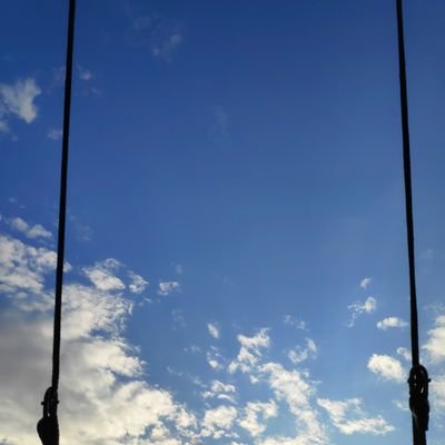 Tom__DR's profile picture. ...