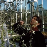 Linzi Jay Thompson (@bombusthompson) Twitter profile photo