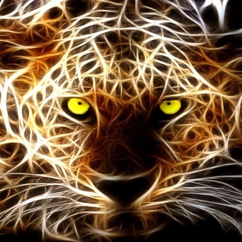 tazman812's profile picture. 