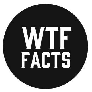 Daily #wtf facts, news & updates