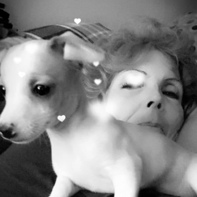 AngieFerriera's profile picture. 