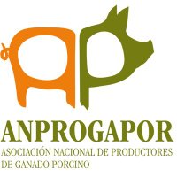 ANPROGAPOR (@anprogapor1) 's Twitter Profile