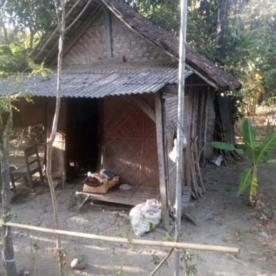 ahmad78800423's profile picture. kejujuran