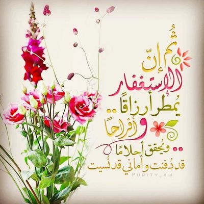 alsnev2121's profile picture. معلم رياضيات / 
متذوق للشعر ... أكتبه قيلاً ...